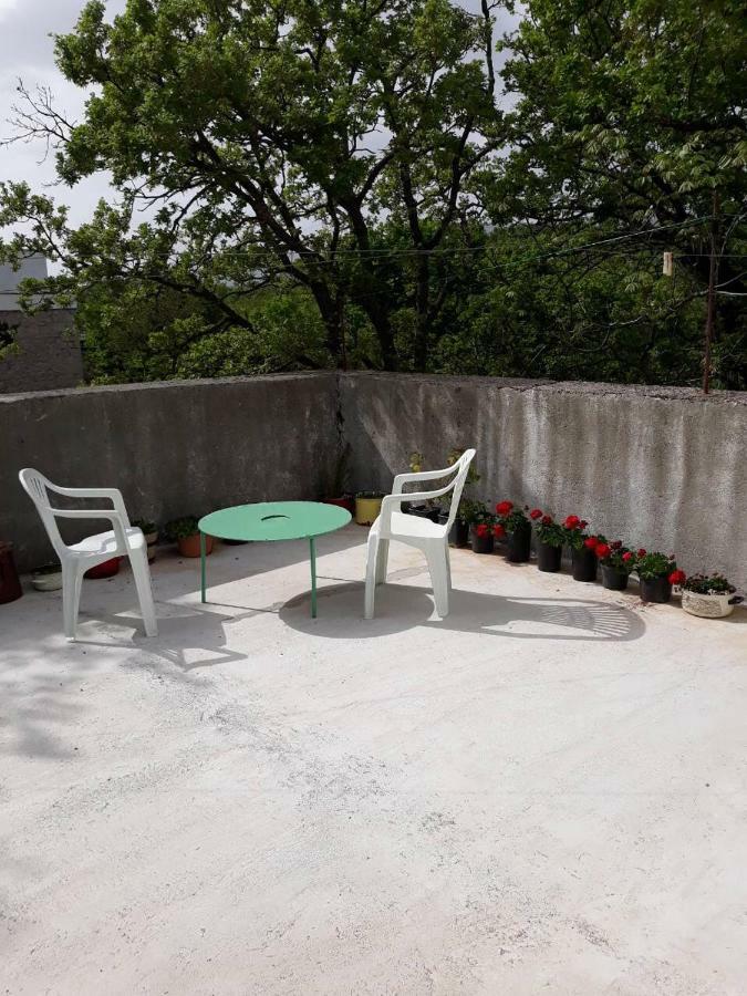 Apartman Milica Golubic  Exteriér fotografie