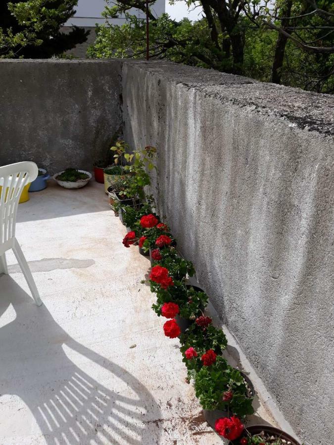 Apartman Milica Golubic  Exteriér fotografie